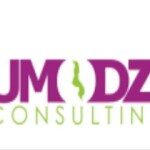 Umodzi Consulting