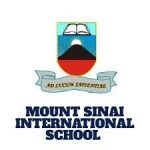 Mount Sinai International School